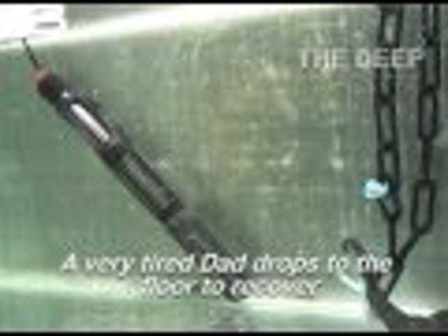 Sunday Sign-Off: Father’s Day Is Kind of a Big Deal for Seahorses