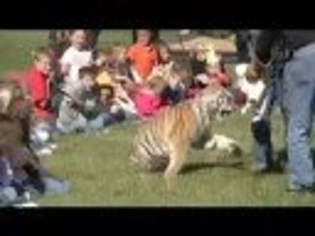 Ohio Governor Takes His Authoritarian Jackboot Off The Neck Of Live Tiger Mascot