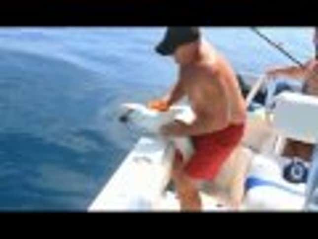 What Not To Do When You've Hooked A Great White