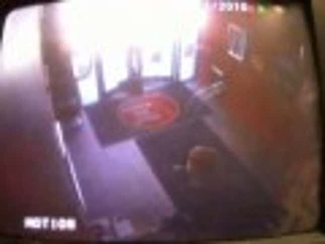 Real Deer Burst Into Wisconsin Bar During Bucks Game, Prove Unworthy Of Anyone's Fear