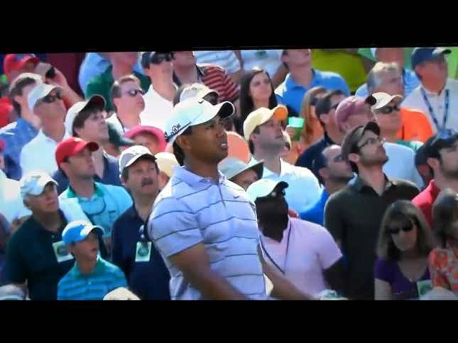Tiger Sums It Up Nicely: "You Suck, Goddammit"