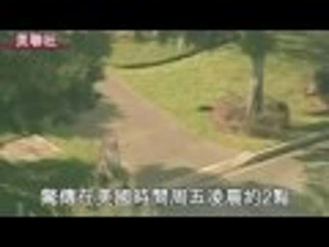 Chinese Crack Tiger Woods Case With Dramatic CGI Re-Enactment