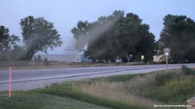 Revolting Bug Tornadoes Will Make You Itchy All Day