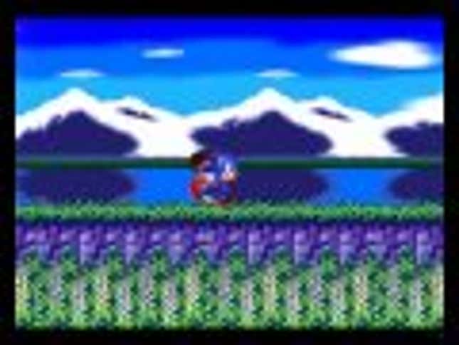 Sonic Does Not Win This All-Star Video Game Footrace