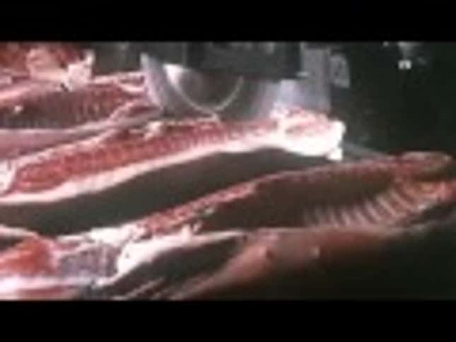 Meat, Machines, Music, More Meat