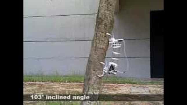 Treebot Will Find You, No Matter How High You Climb