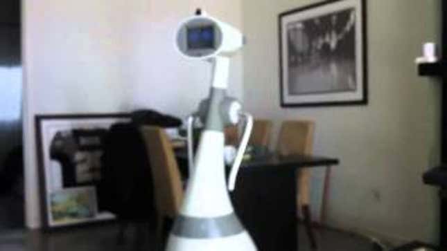 On Sale Later This Year, Luna the Robot Can Walk Dogs and Do Other *Wink* Things