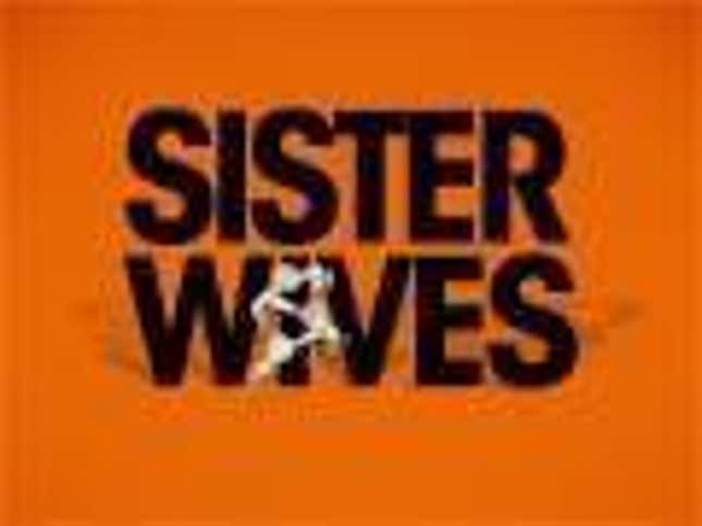 On TLC, Women Have Lots Of Kids But A Fraction Of A Husband