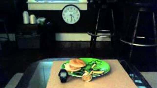 What Really Happens When you Leave a Happy Meal Out