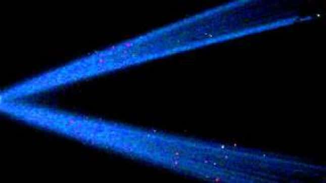 10,000 Birds Trapped In the World Trade Center Light Beams