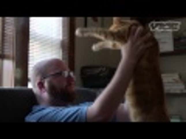 Lindsay Lohan Takes Emergency Plea Deal: 90 Days of Rehab