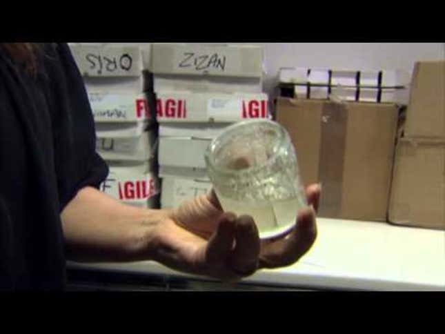 Man and His Dog Find Ambergris, Which We Must All Remember Is Not the Same as Whale Turds