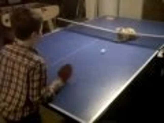 Here Is a Kitten Who's Better at Ping Pong Than You Are