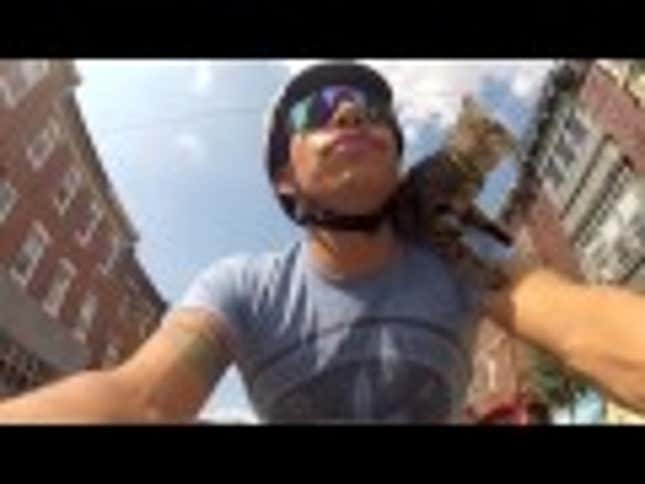 Who Needs Lance Armstrong When You Can Watch an Adorable Kitty Cruise Around on a Bike Instead?