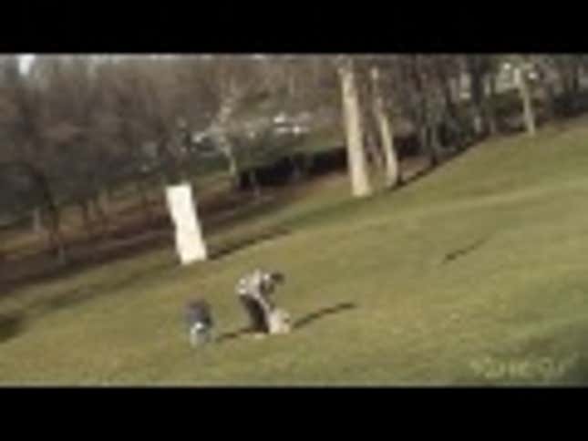 OK, Now <em>This</em> Video of an Angry Bird Attacking a Baby is Totally Real. Swear.