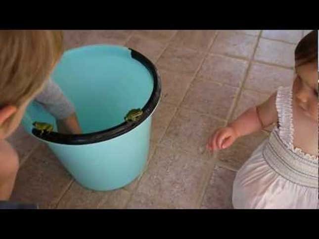Cute Little Girl Gets A Face Full of Tree Frog