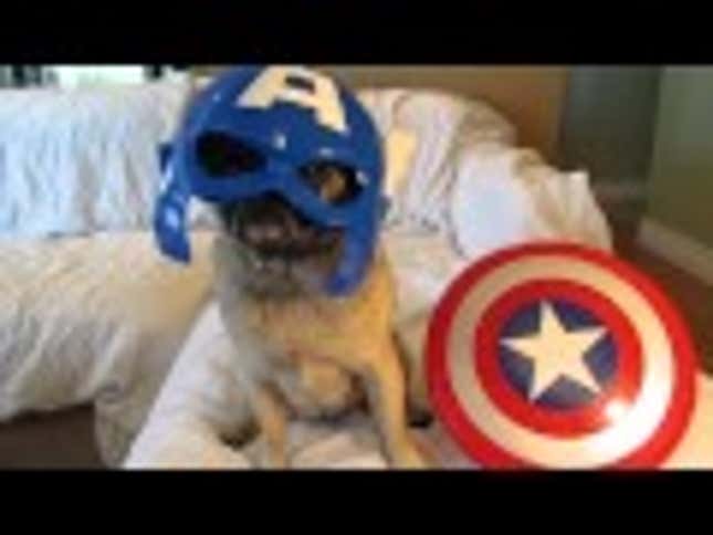 I Would Watch An Entire Movie Of <em>The Avenger Pugs</em>
