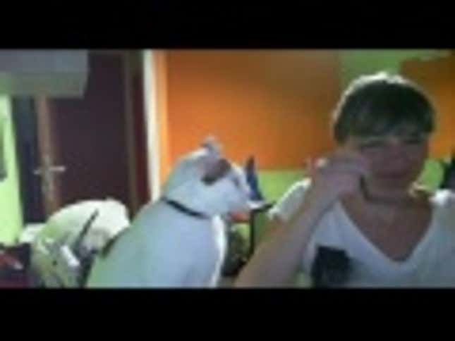 Adorable Cat Thinks Owner Looks Better Without Glasses