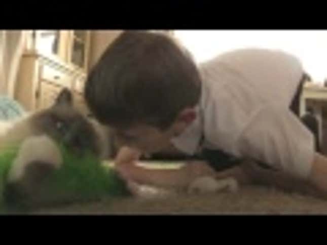 Aww, Cat Helps Little Boy With Selective Mutism Say 'I Love You'