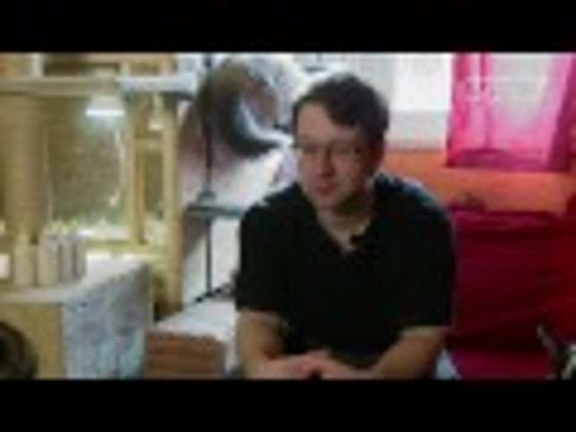 Orphaned Boar Piglets Look Like a Cross Between Bambi, Piglet and Concentrated Adorable