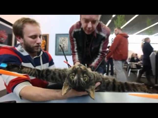 Finally, Someone Figured Out How to Make a Helicopter Out of a Dead Cat