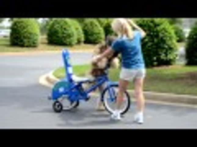 Goofy, Endearing Dog Knows How To Ride A Bike