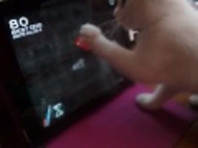 Watch This Adorable Kitten Desperately Swipe At The Rats In This iPad Game