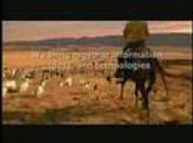 Super Bowl Ads Reveal that Cats Are Being Unfairly Marginalized