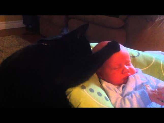 Cat Soothes Crying Baby To Sleep With Its Paw