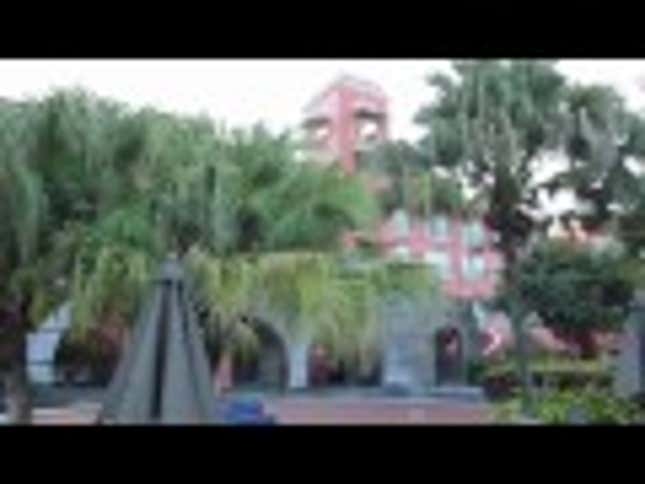 Baby Monkey Orphanage Will Make Your Heart Swell