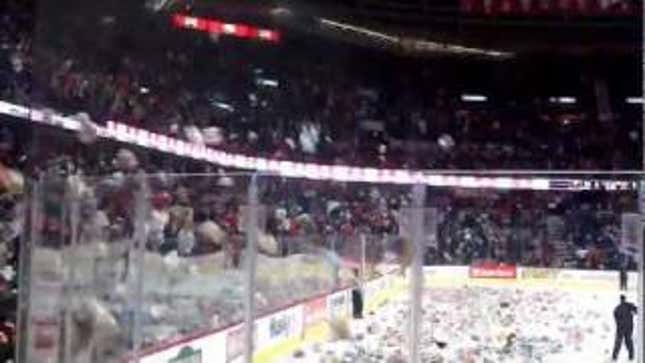 Hockey Fans Bombard Rink With 25,003 Stuffed Animals