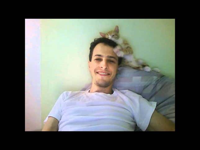 Adorable Kitten Grooms A Hot Dude's Hair