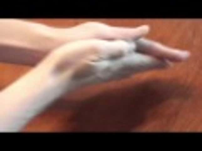 You Can Make A Kitty Toy Out Of Cat Hair, But Probably Shouldn't