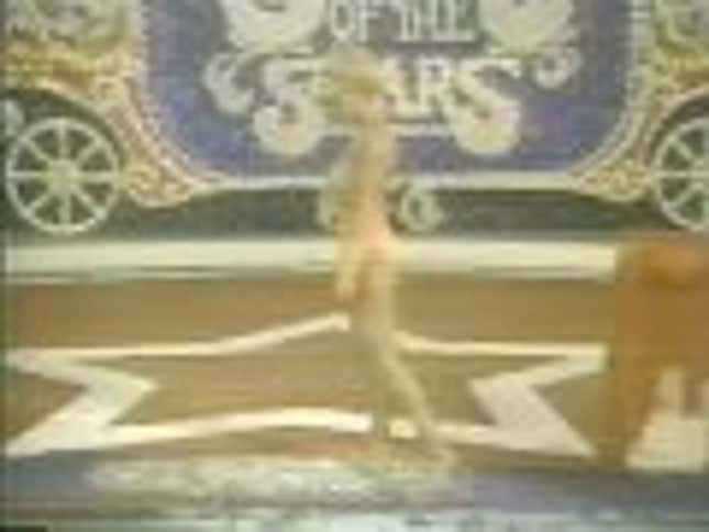 The Night Belongs To Loni Anderson