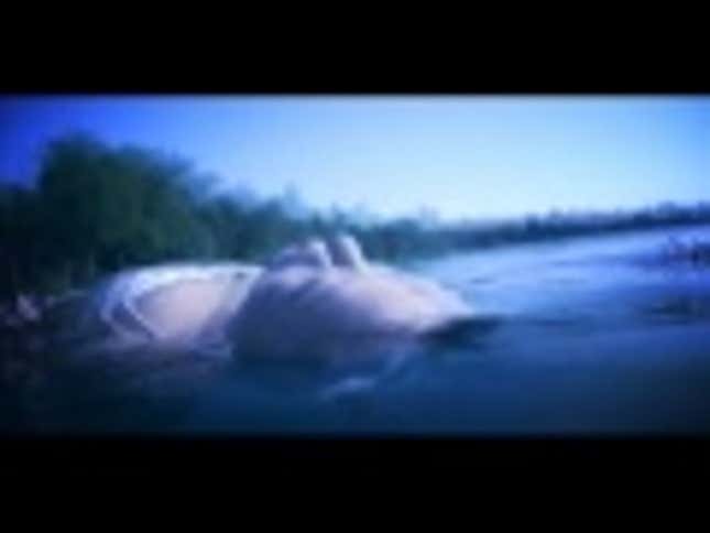 Sunday Night Shootout