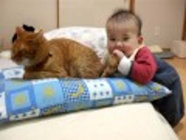 World's Most Patient Cat Can Barely Contain Contempt For Baby