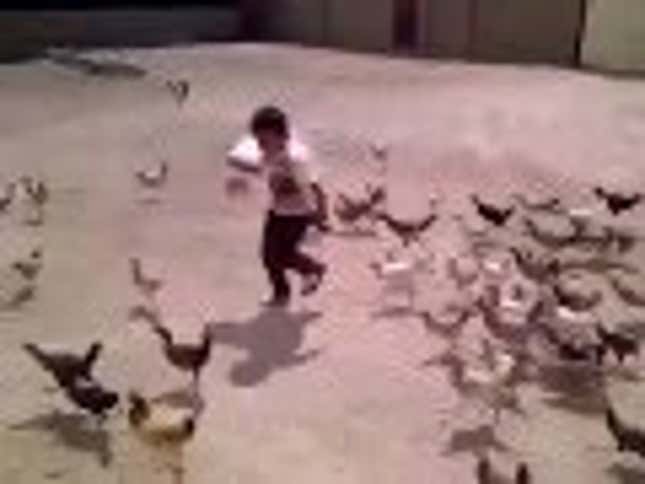 I've Never Seen Someone as Scared of Chickens as This Kid