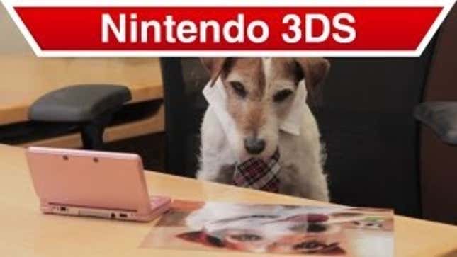 Nintendo's Spokesdog Is A Very Hard Worker