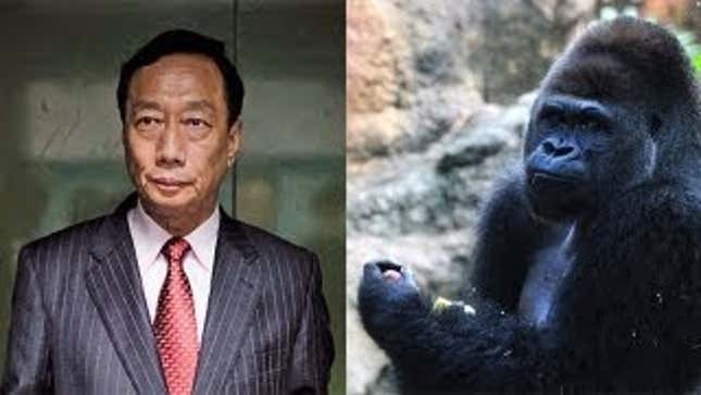 Foxconn's Boss Seems Like a Jerk. He Has a Super Strong Umbrella.