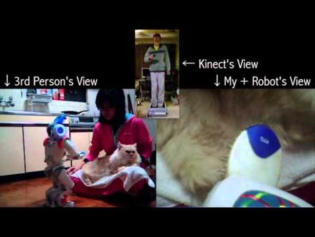 Kinect and the Wii Help This Robot Pet a Cat
