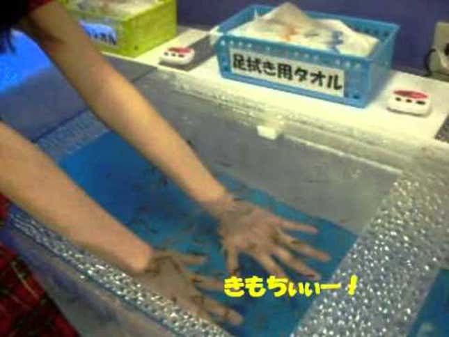 Young Women Nibbled by Skin-Eating Fish