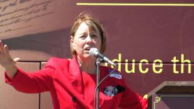 Sharron Angle Only Wants "Maternity Leave" For Her Own Babies