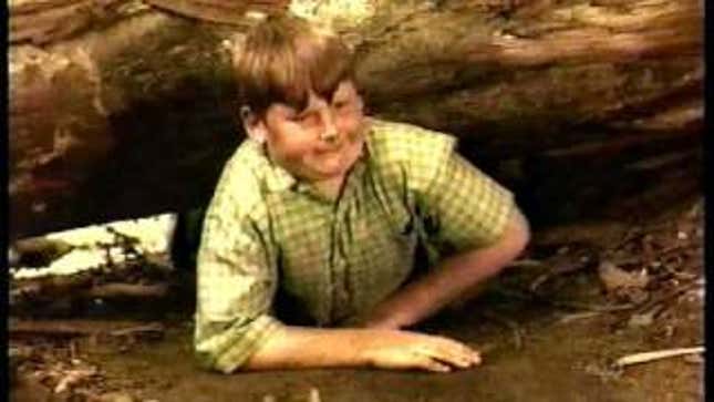 If Lassie Were A Cat, Timmy Would Be In Trouble