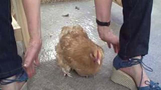 Ann Curry Is Totally Freaking Out Questlove