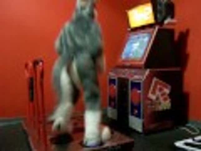 A Dude In A Fursuit. Dancing. For Charity.