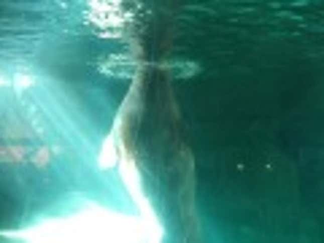 Jessica Stam Hates Her <i>Elle Decor</i>-Worthy Home