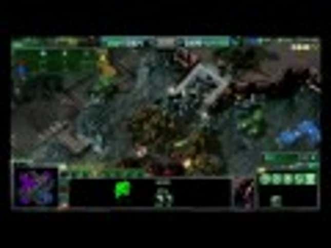 The World's Most Delicious StarCraft II Player Offers You Tasty Fruit