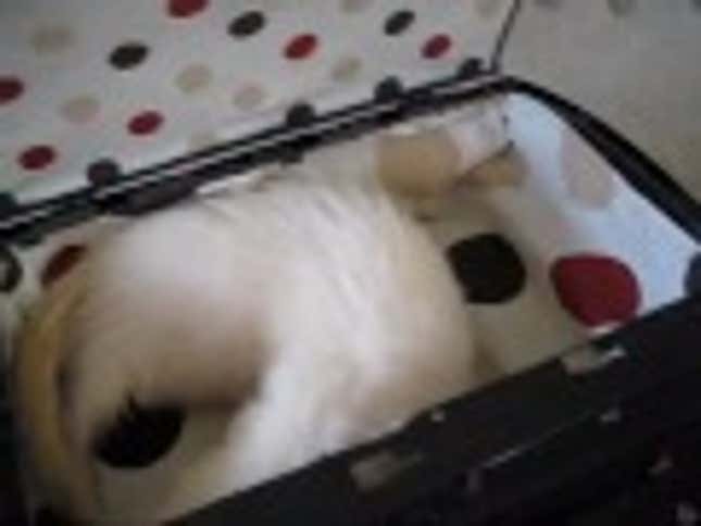 Here's A New Use For Your Old PlayStation 3