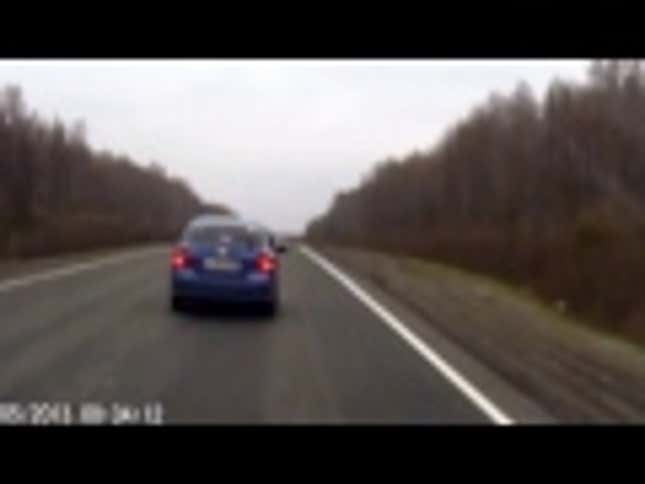 Bear Gets Hit By Moving Car, Gets Up Like It's No Big Deal