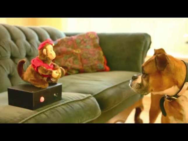 How Can I Protect My Gadgets from Pets?